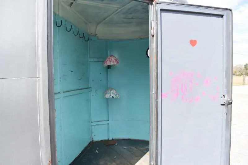 2007 WW 2HSL 2 Horse Trailer